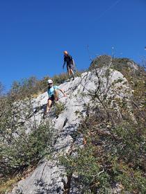 Descente